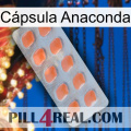 Cápsula Anaconda 26